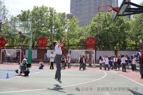 哪里有适合初学者的篮球进步课程?_1